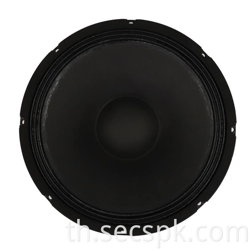 15inch Concert Speaker